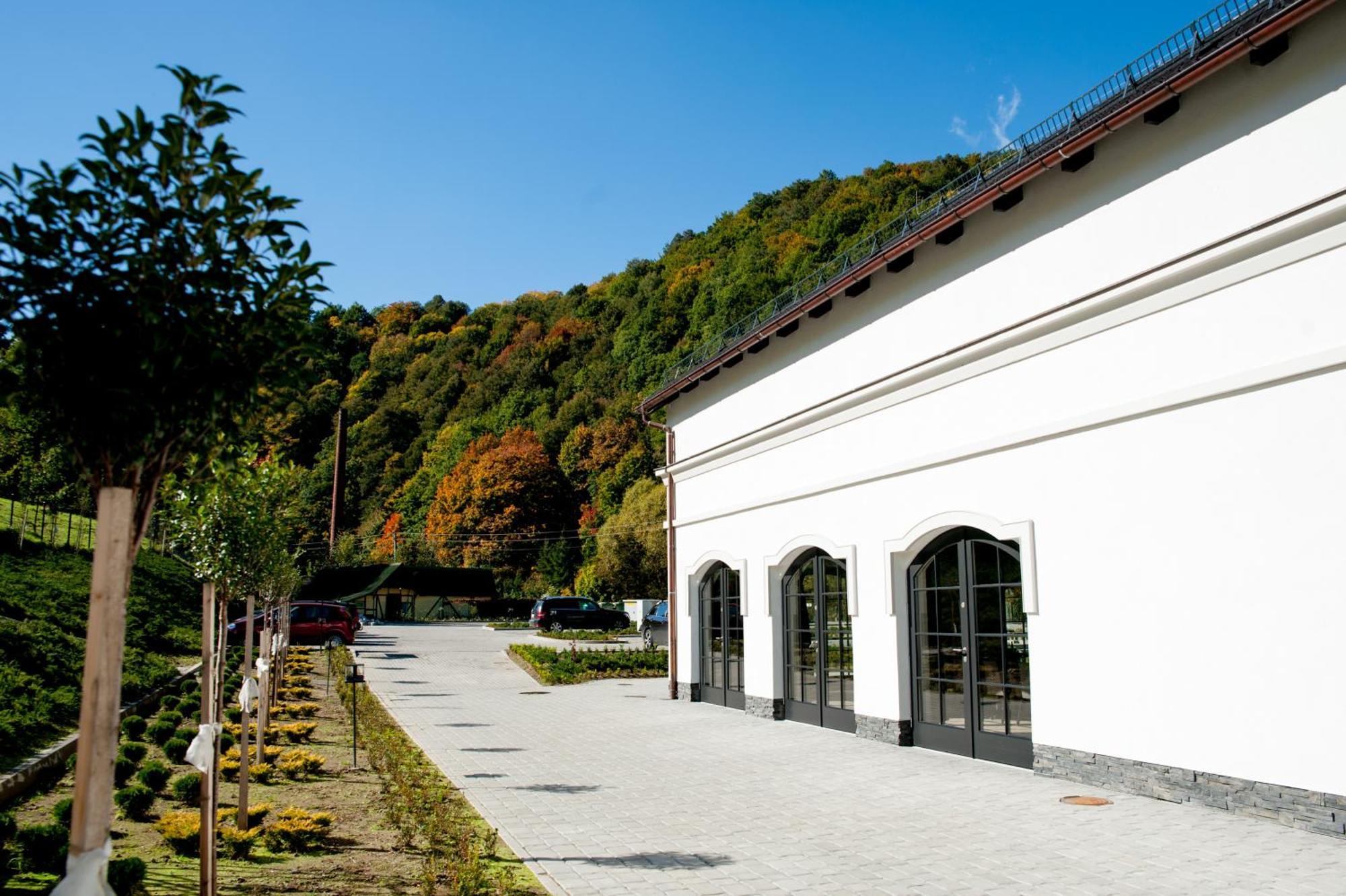 Hotel Palac Jugowice Валбжих Екстериор снимка